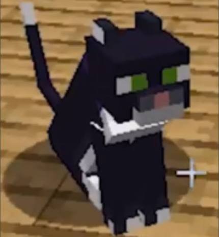 The original low-resolution Minecraft cat standing on wooden planks